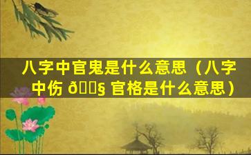 八字中官鬼是什么意思（八字中伤 🐧 官格是什么意思）